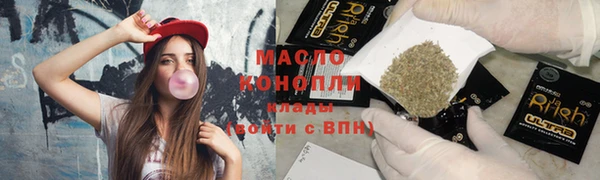 шишки Надым