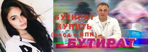 шишки Надым