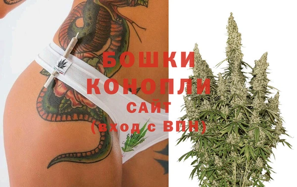 шишки Надым