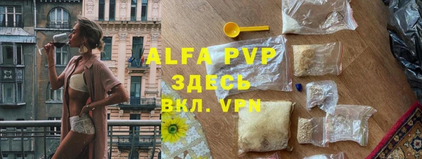 шишки Надым