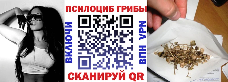 omg онион  Каменногорск  Псилоцибиновые грибы Magic Shrooms 