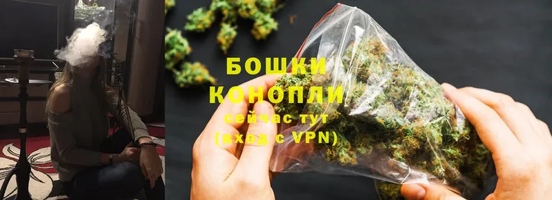 Марихуана White Widow  mega tor  Каменногорск 